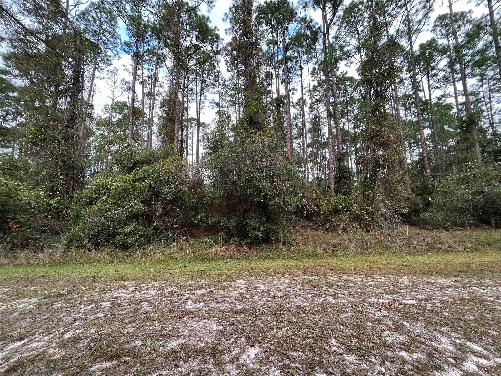 Do not miss out on this fantastic opportunity in Georgetown! This beautiful 0.23-acre lot offers the best of country living and is ready for your dream home. The property has already been mulched, making it easy to start building. Imagine enjoying the peaceful surroundings and the convenience of nearby attractions. You'll love being close to the St. Johns River Rod & Reel Club, a boat ramp, and a fishing pier on Lake George. Spend your days boating and fishing on the river and lake, or take a refreshing swim in the beautiful Salt Springs Silver Glen Spring.
owner financing available for this property.