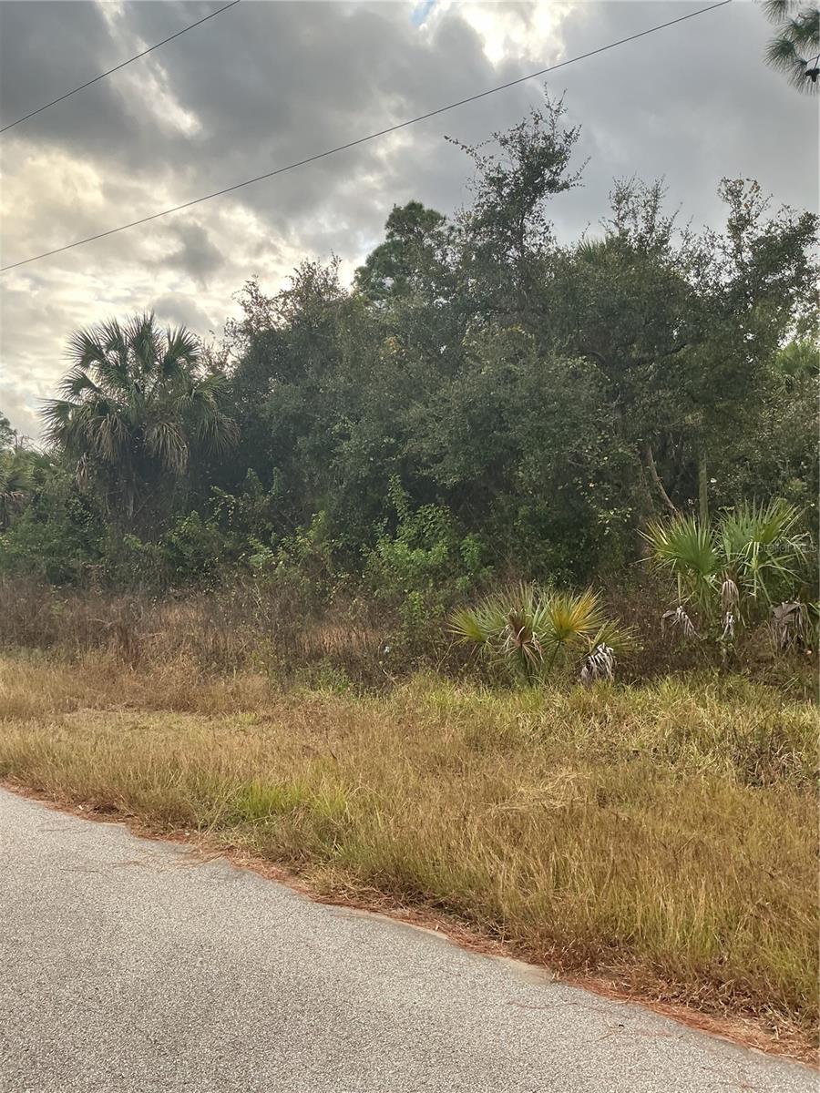 PORT CHARLOTTE SUB 45 - Land