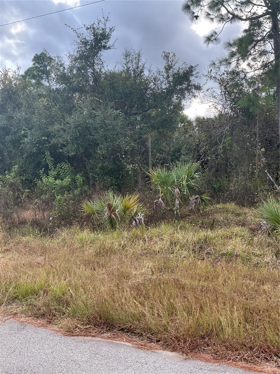 PORT CHARLOTTE SUB 45 - Land