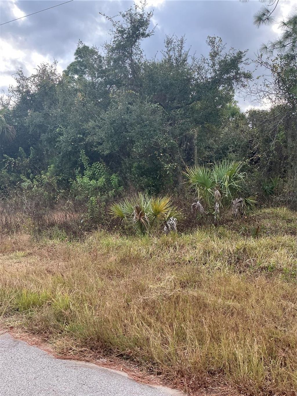 Photo of Bannock Circle, North Port, FL 34288 (MLS # N6141750)