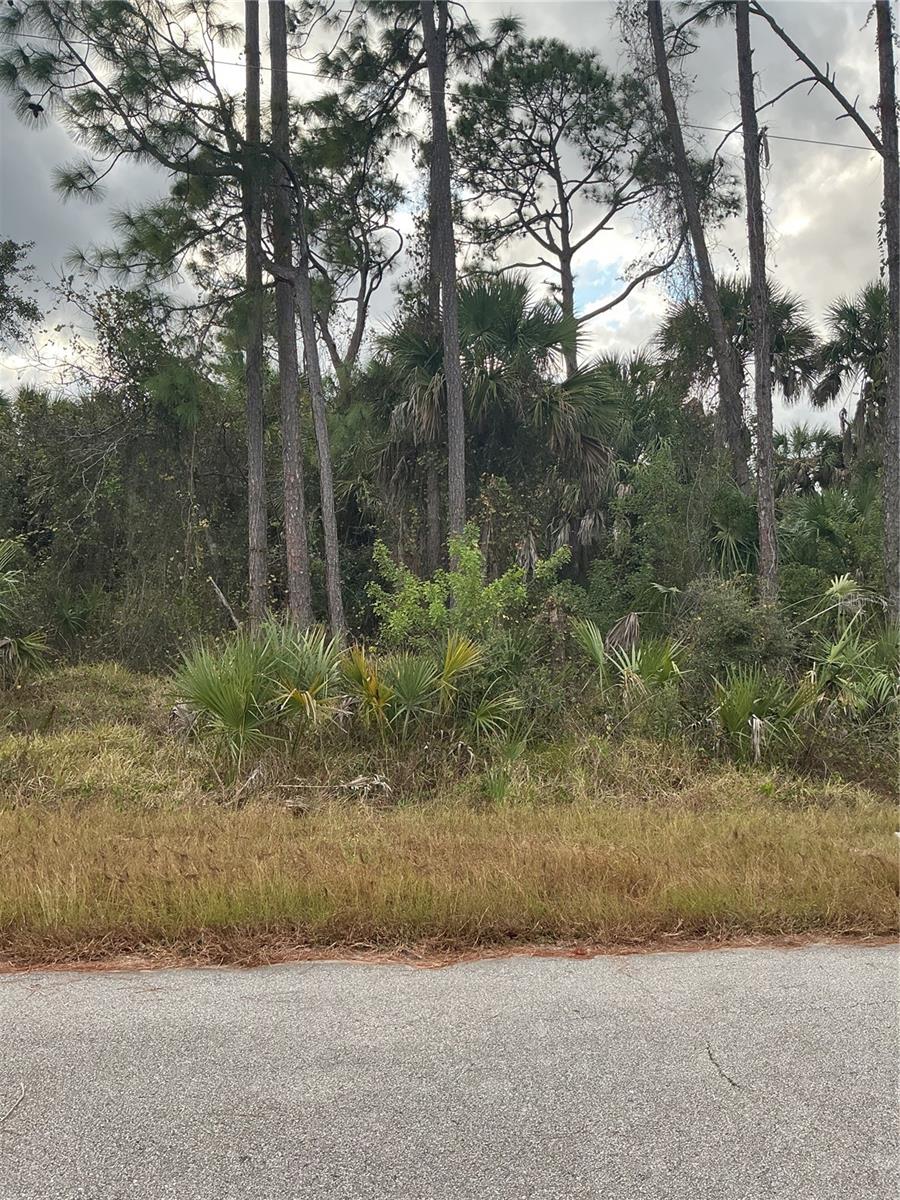 PORT CHARLOTTE SUB 45 - Land