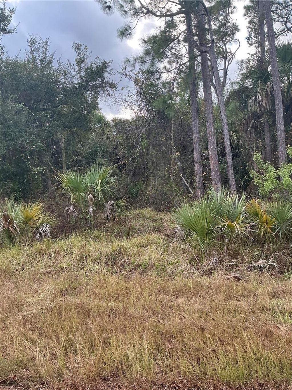 Photo of Bannock Circle, North Port, FL 34288 (MLS # N6141750)