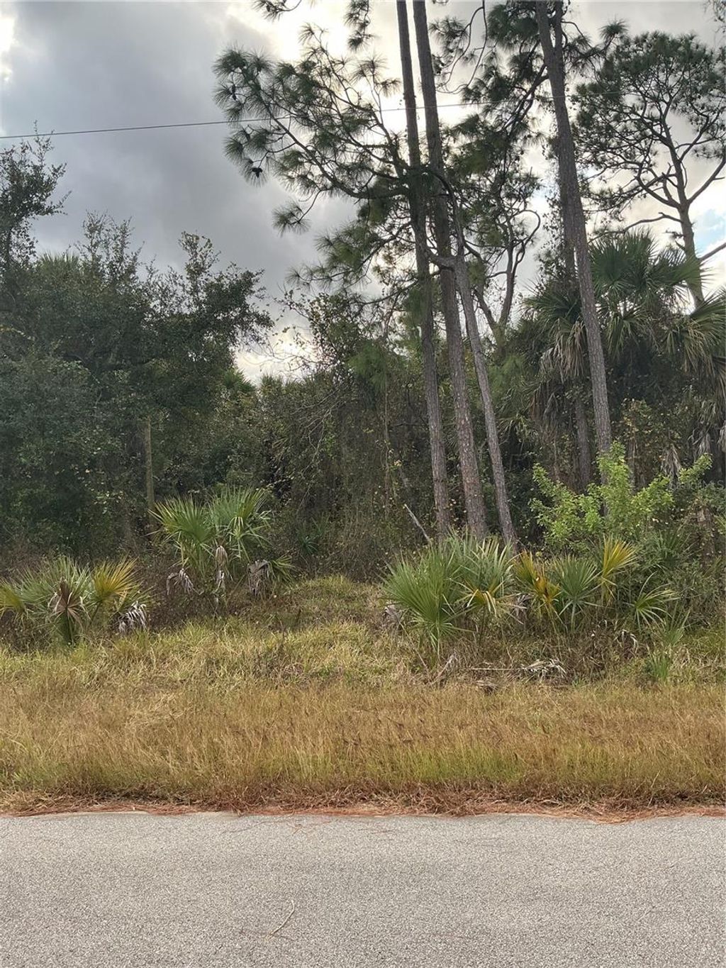 Photo of Bannock Circle, North Port, FL 34288 (MLS # N6141750)