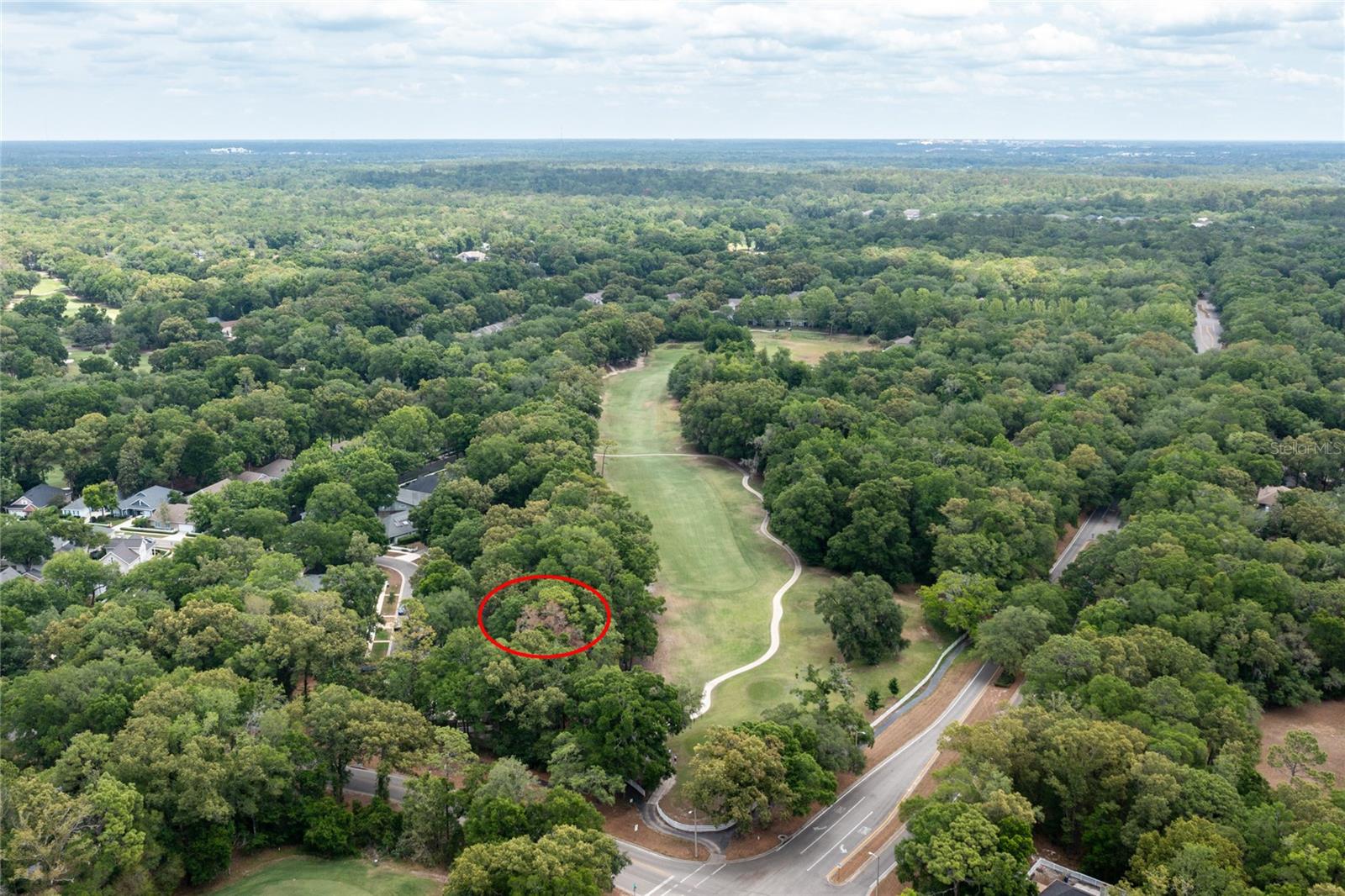 HAILE PLANTATION - Residential