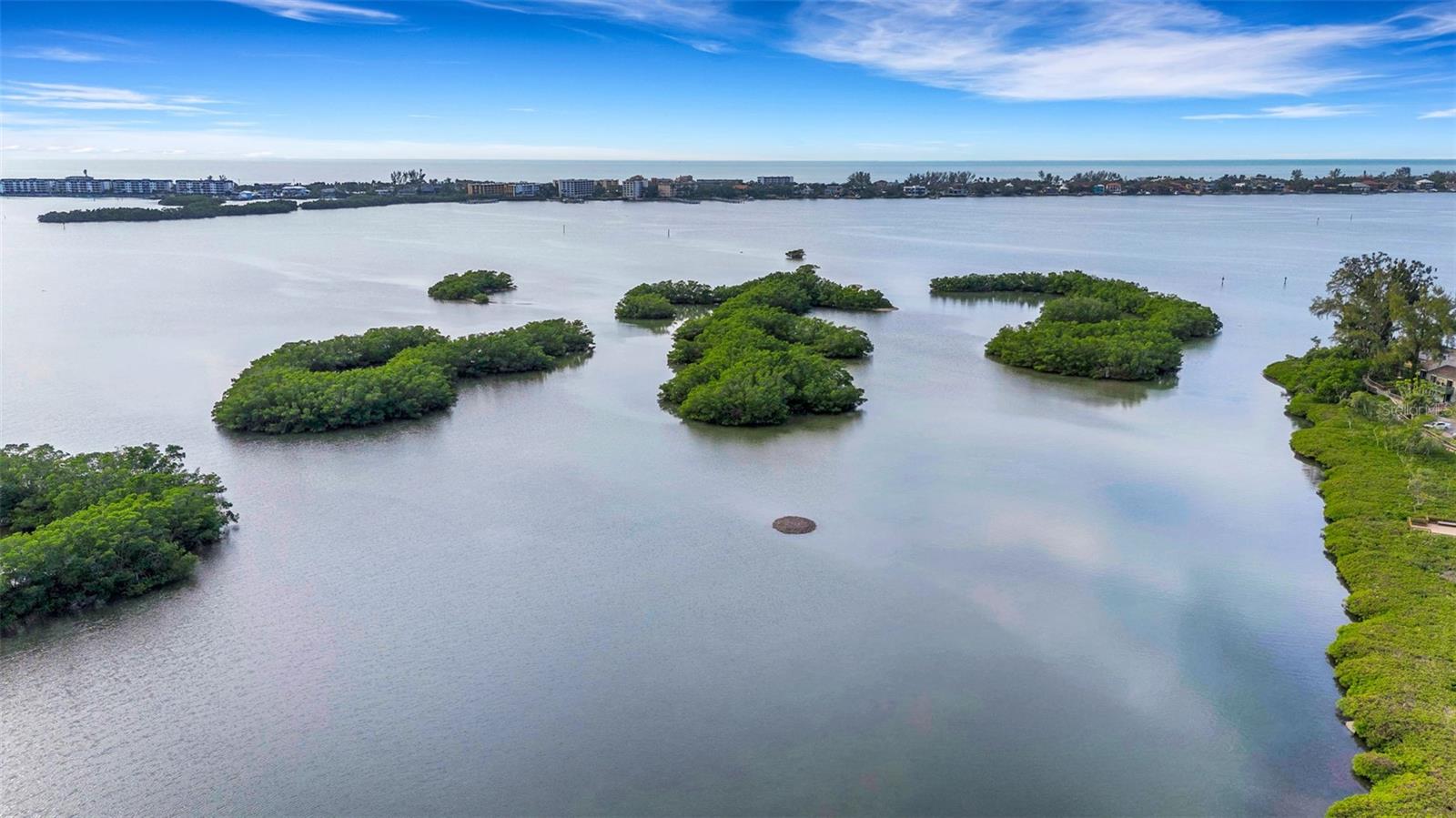 PELICAN COVE XVI - Residential