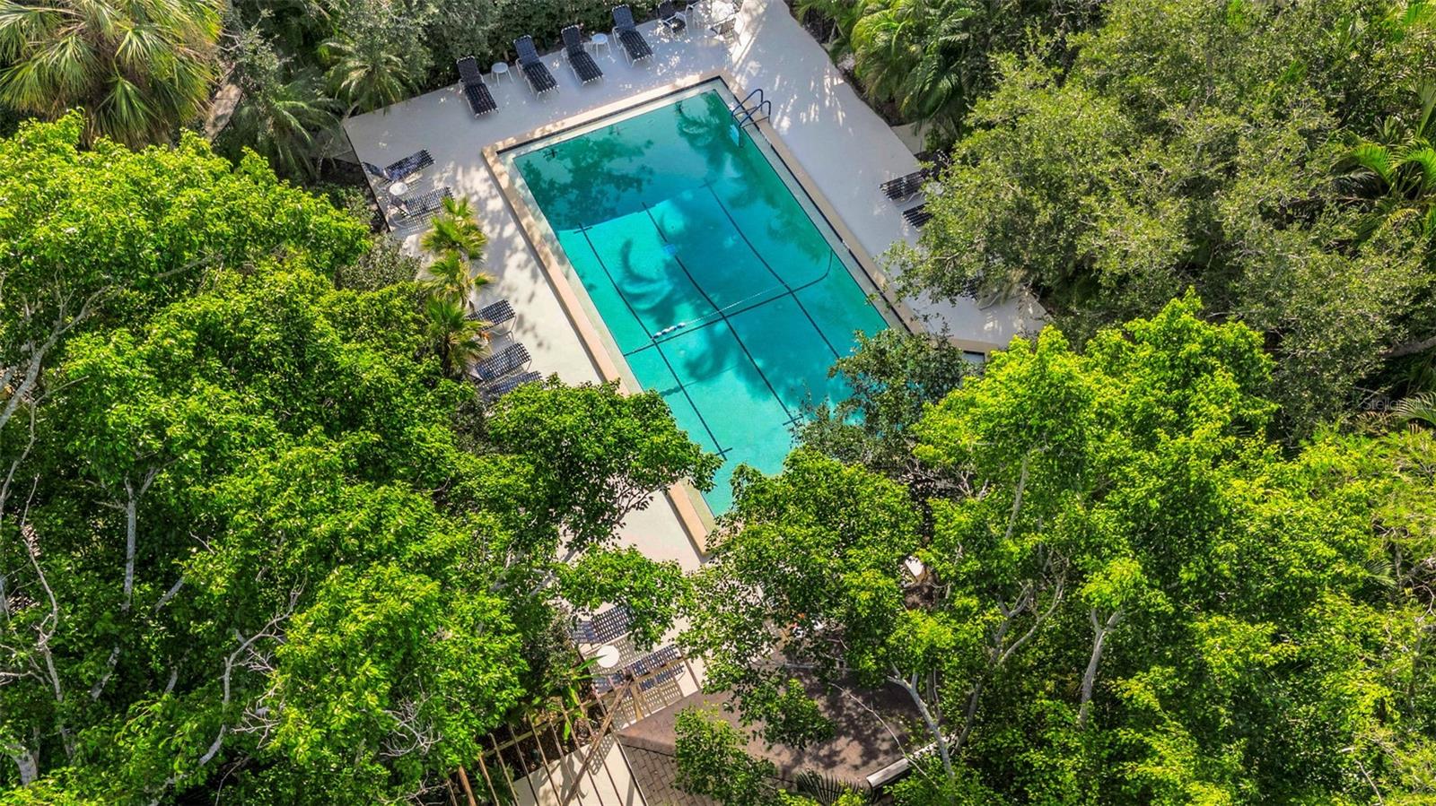 PELICAN COVE XVI - Residential