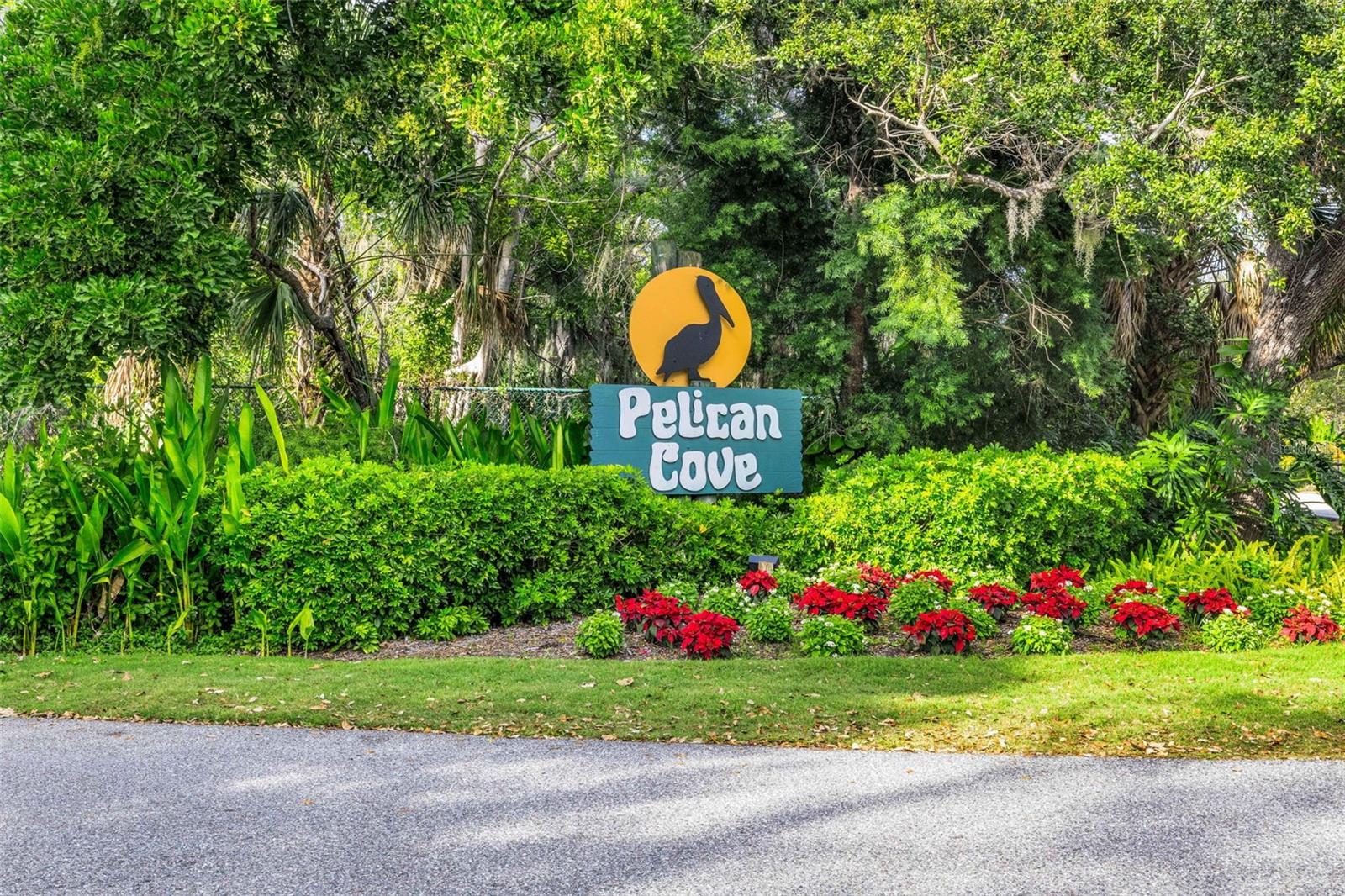 PELICAN COVE XVI - Residential
