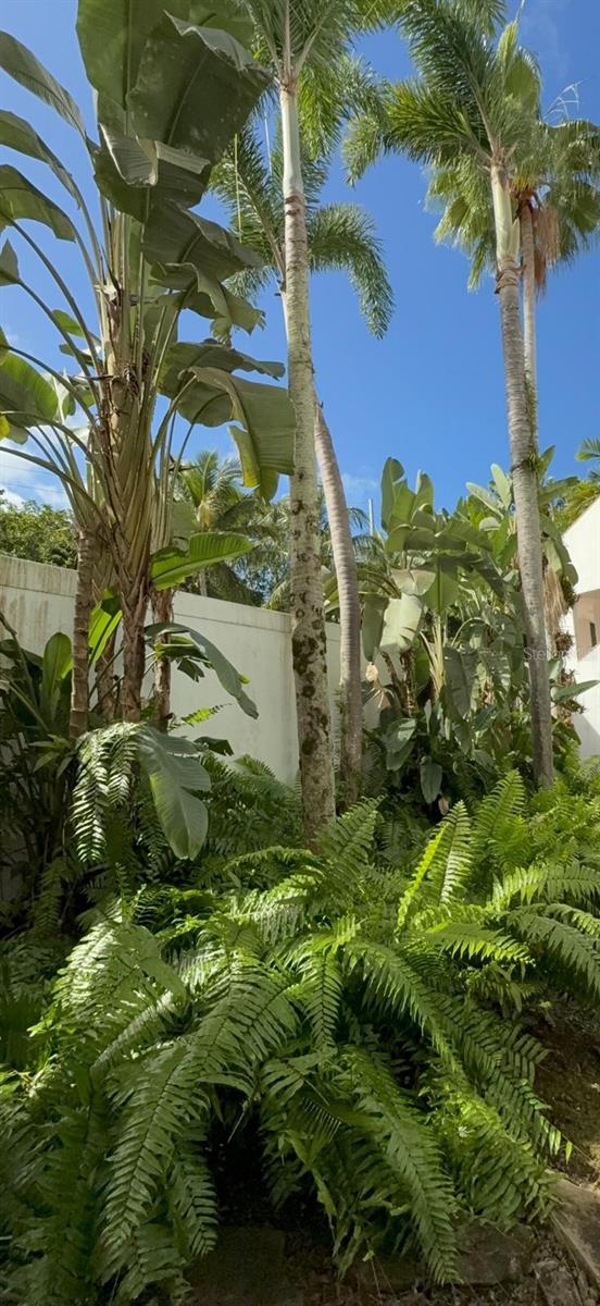 RIO MAR VILLAGE - Residential