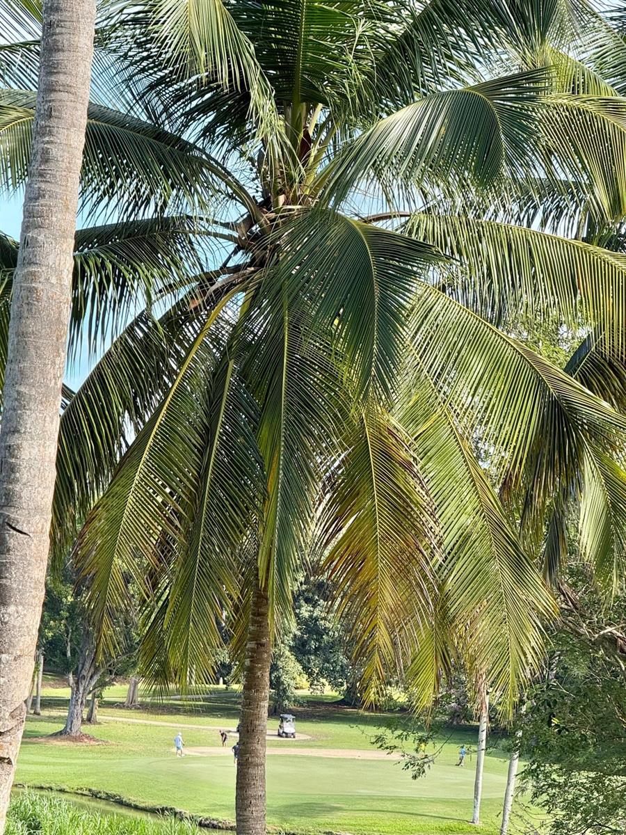 RIO MAR VILLAGE - Residential