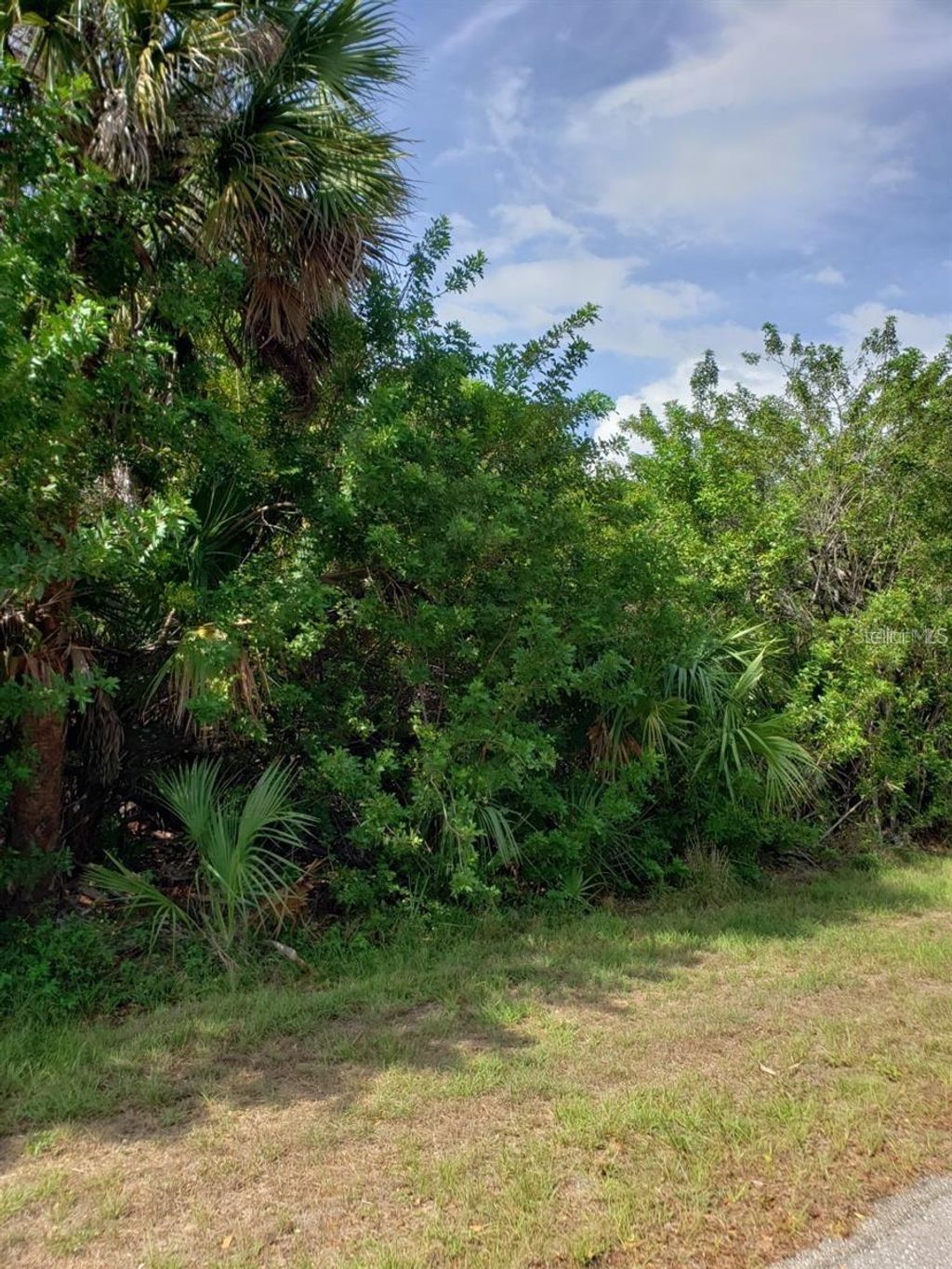 Photo of 18048 Wing Avenue, Port Charlotte, FL 33948 (MLS # C7505239)