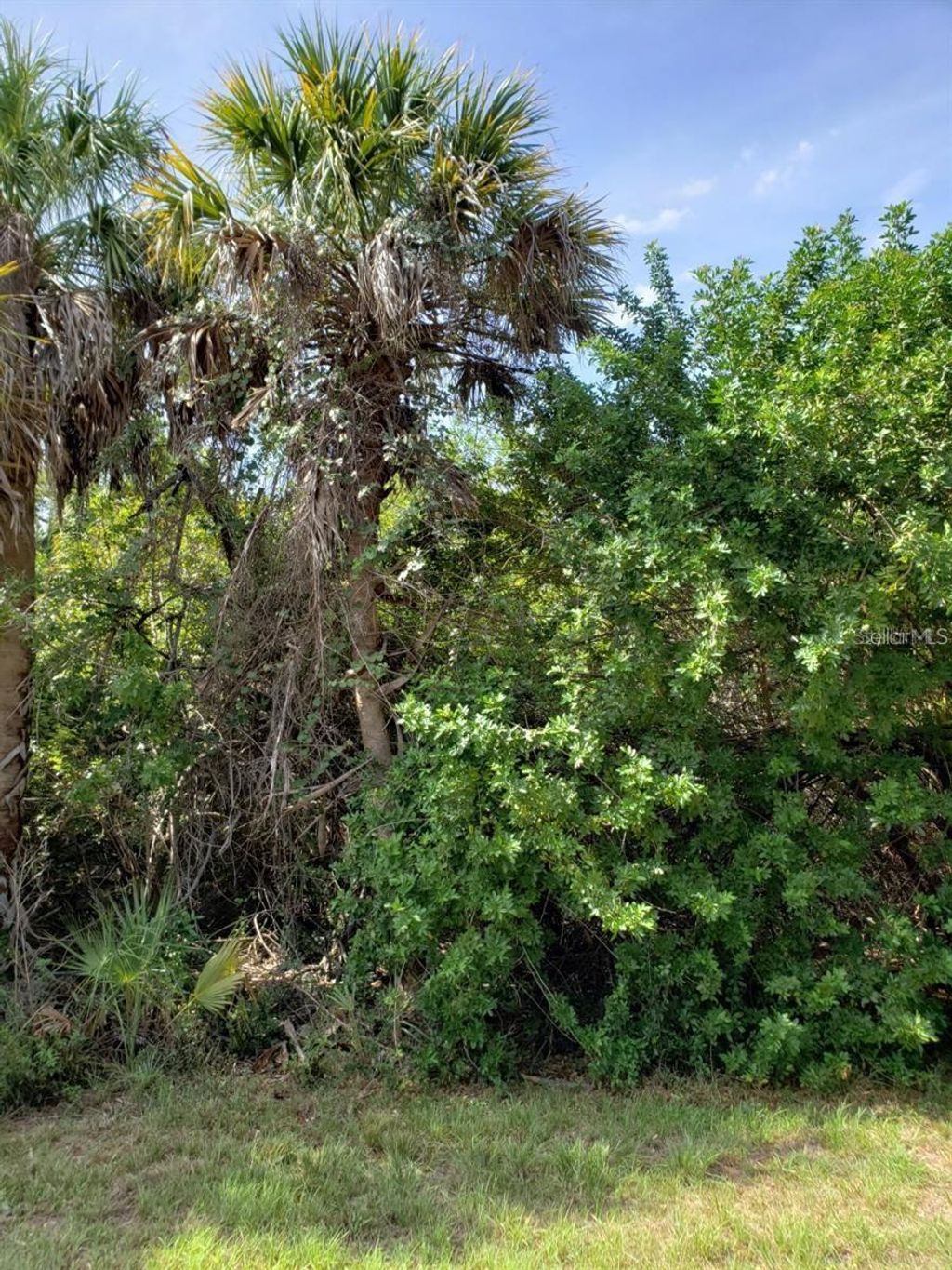 Photo of 18048 Wing Avenue, Port Charlotte, FL 33948 (MLS # C7505239)
