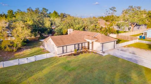 A home in ORANGE CITY