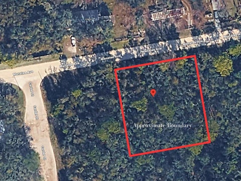 Photo of 12980 Manatee Avenue, New Port Richey, FL 34654 (MLS # W7888364)