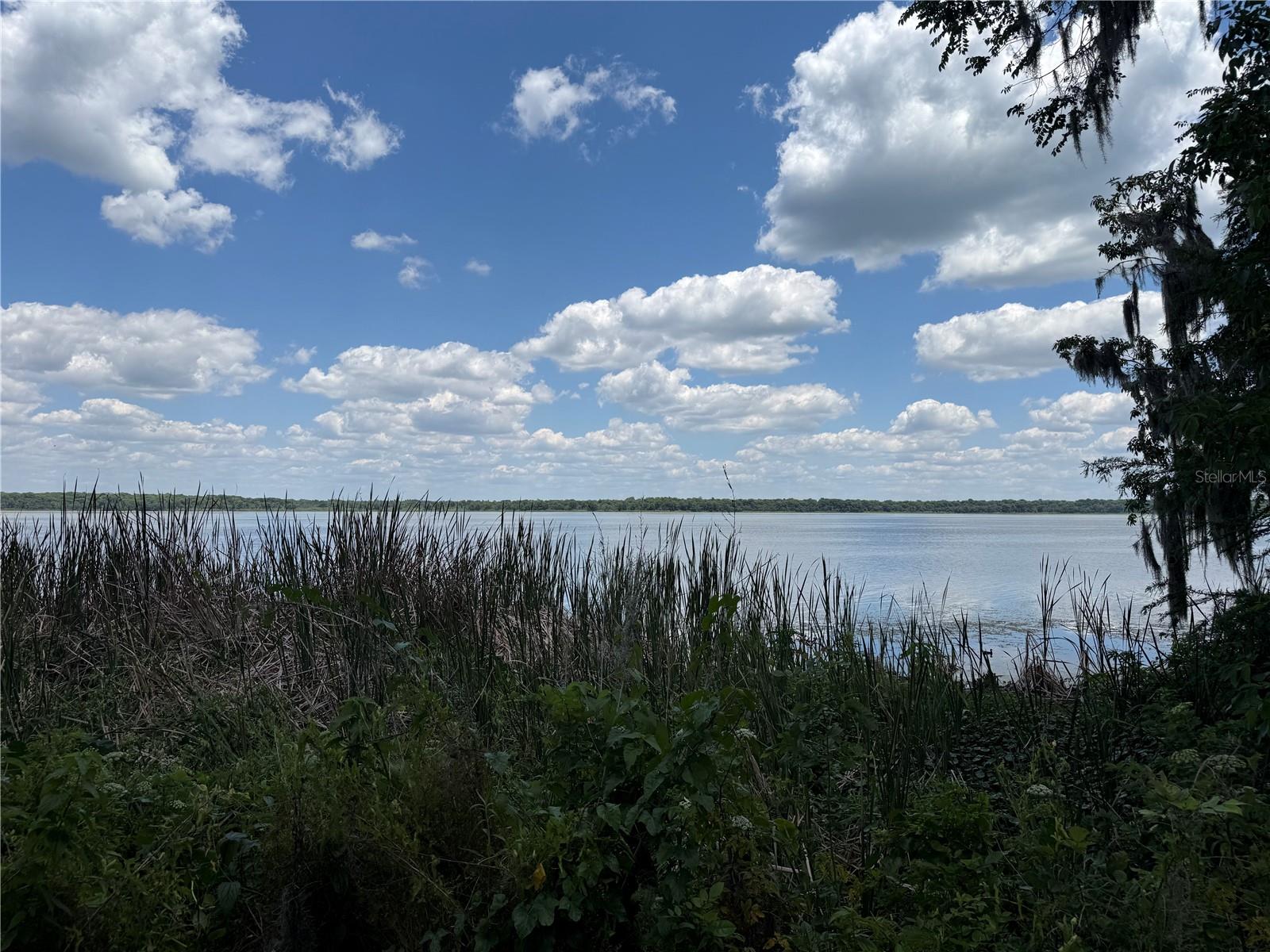 IDLEWILD PARK - Residential