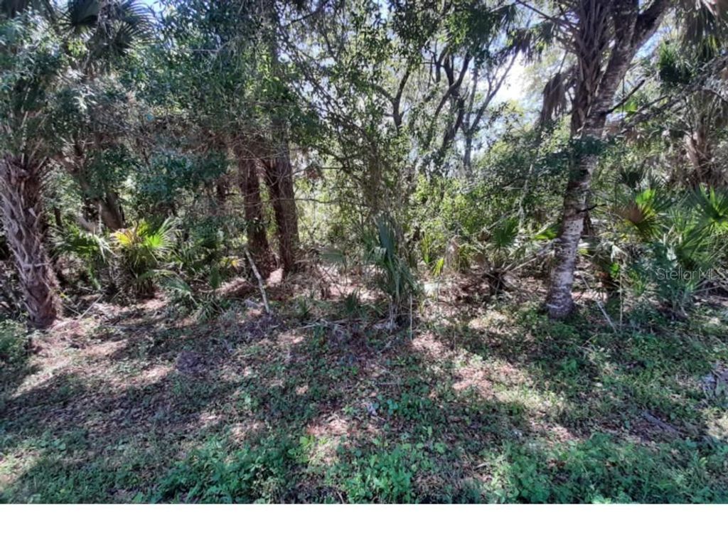 Photo of 14578 Ingraham Boulevard, Port Charlotte, FL 33981 (MLS # O6190195)