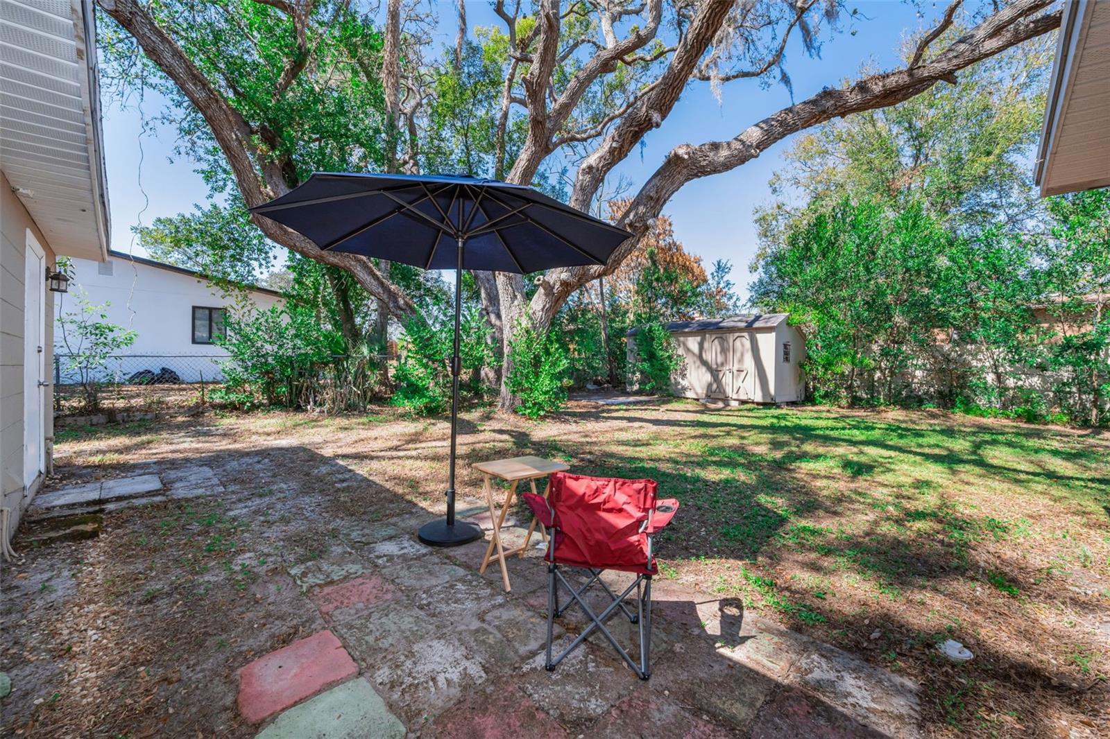 TEMPLE TERRACE HEIGHTS - Residential