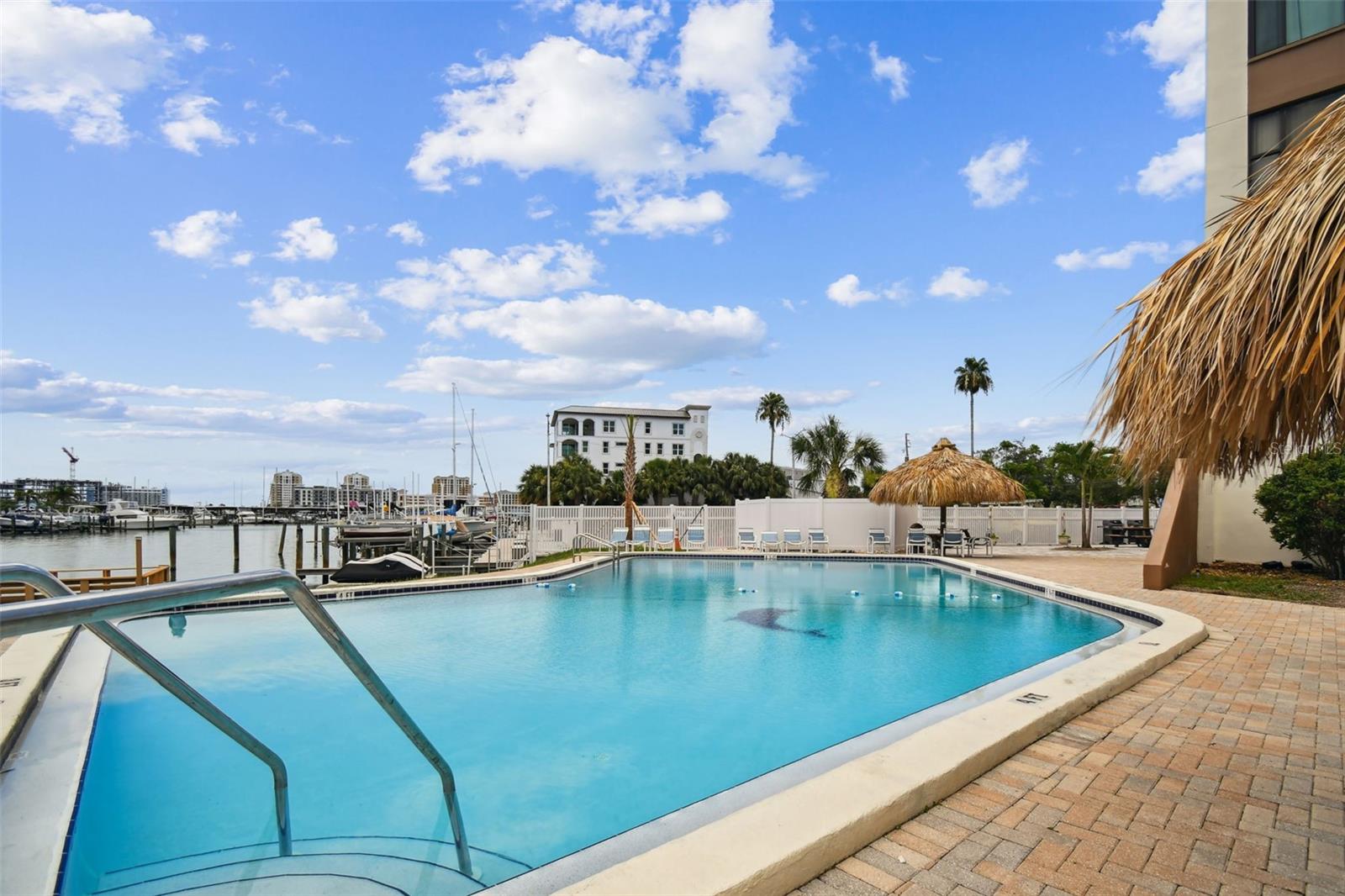 DOLPHIN COVE CLEARWATER - Residential Lease