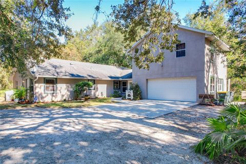 A home in MOUNT DORA