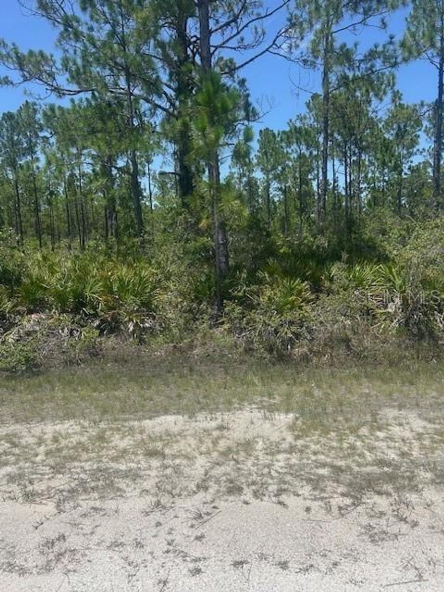 Build Your Dream Home in Scenic Indian Lake Estates:  Welcome to Indian Lake Estates, a peaceful and picturesque community nestled along the shores of the stunning 7,500-acre Lake Walk-In-Water—nationally renowned as one of Florida’s premier bass fishing lakes. 
This generously sized half-acre lot is the perfect canvas for your custom dream home, offering a harmonious blend of natural beauty, abundant wildlife, and a vibrant, resort-style lifestyle.
Community Highlights: Gated entrance for peace of mind, Florida’s longest freshwater fishing pier, Private lakefront access with beach, boat marina, ramp, and dock, Expansive 23,000 sq. ft. clubhouse featuring a fitness center, café, library, and more, 18-hole golf course, plus tennis and basketball courts, Community pool with a covered pavilion, propane grills, and picnic areas, Onsite post office, churches, and pro shop 
Nature & Convenience in One Location: Located just 20 miles east of Lake Wales, Indian Lake Estates offers the rare opportunity to enjoy serene country living while staying conveniently close to major attractions:  Just over an hour to Orlando, Disney, and theme parks; Just over an hour to Tampa, Busch Gardens, and Gulf Coast beaches 
Nature lovers will delight in daily sightings of deer, wild turkeys, cranes, turtles, and other local wildlife. Whether you’re a fisherman, boater, golfer, or simply love the outdoors, this community is your gateway to peaceful living with recreational riches at your doorstep.
! Live the country life. Embrace the natural beauty. Build your future at Indian Lake Estates !