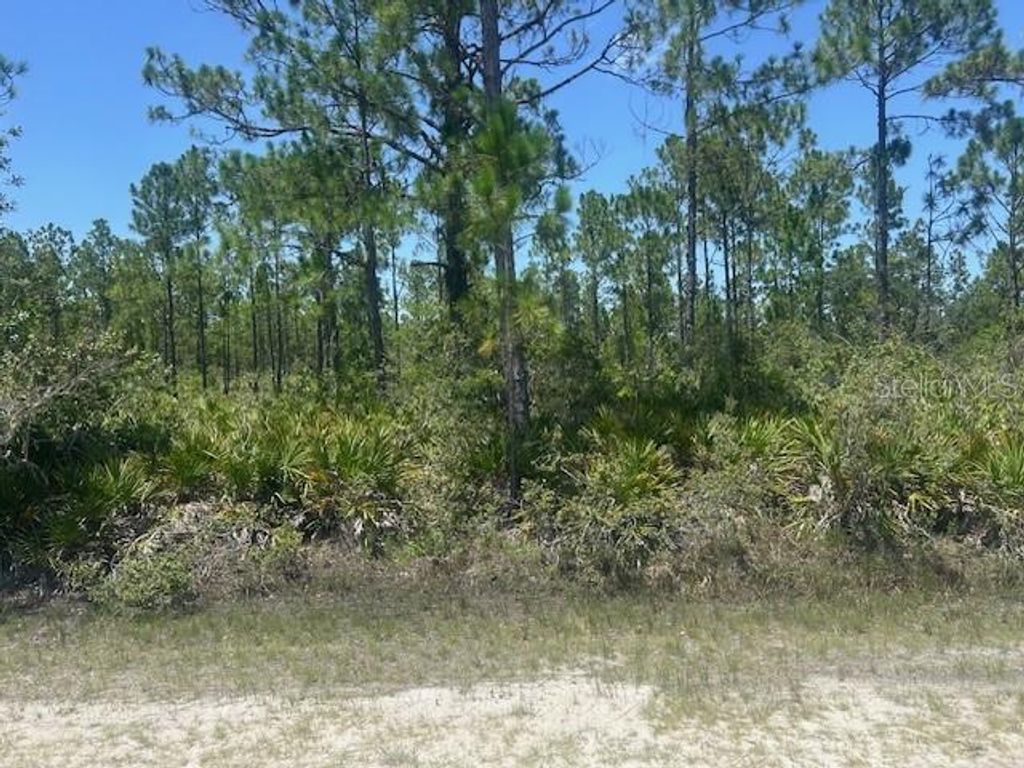 Photo of 1018 Calendula Drive, Indian Lake Estates, FL 33855 (MLS # P4935664)