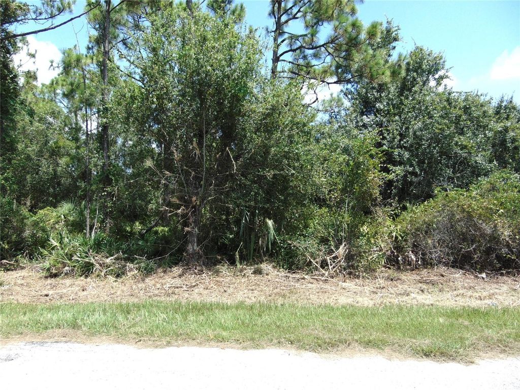 Photo of 23376 Corinne Avenue, Port Charlotte, FL 33980 (MLS # C7513829)