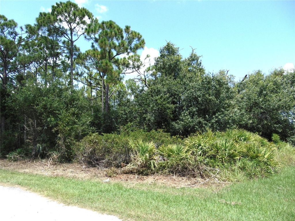 Photo of 23376 Corinne Avenue, Port Charlotte, FL 33980 (MLS # C7513829)