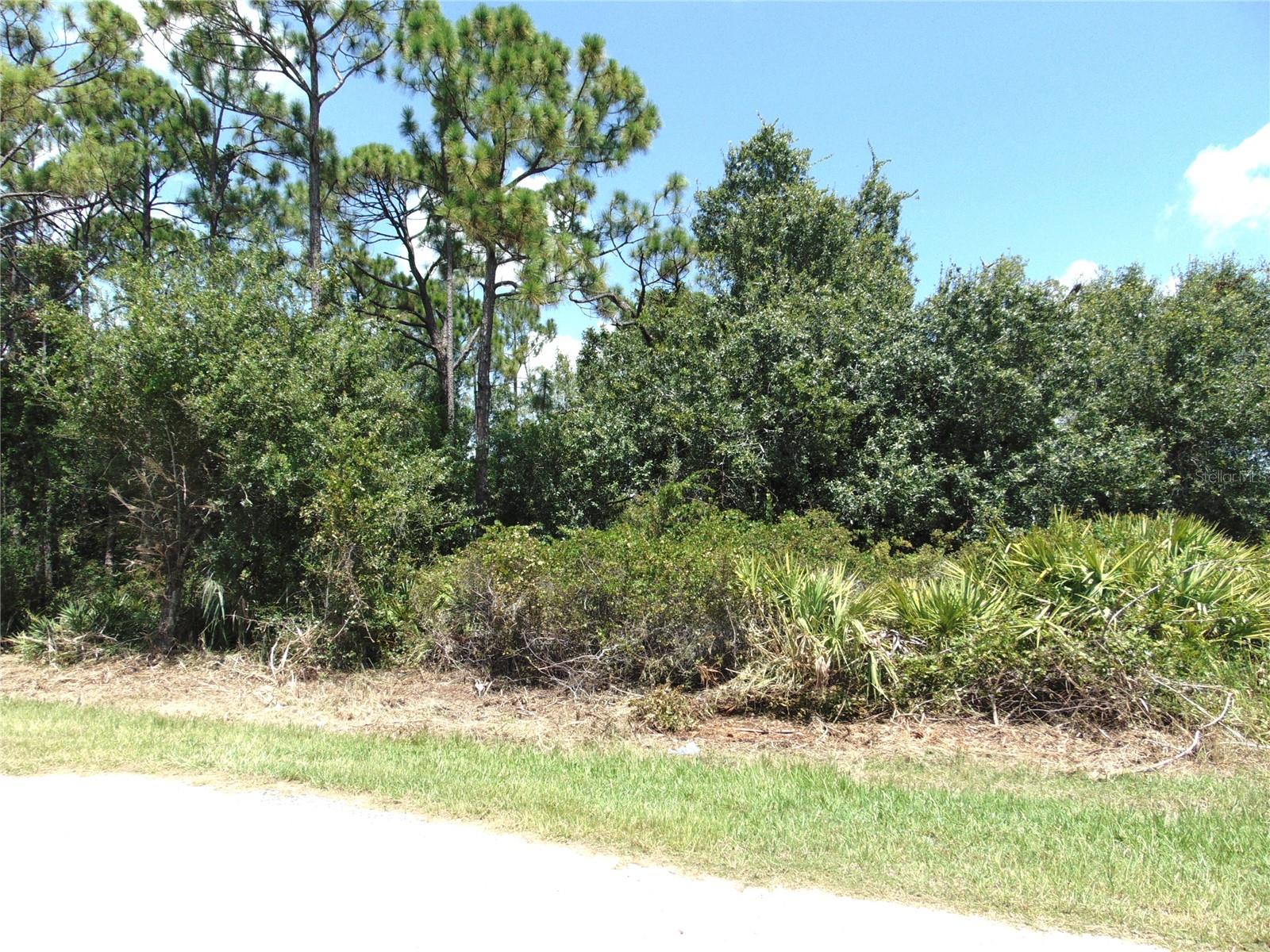 If you have been looking to build your home in a central location, here's your opportunity. No HOA! You are close to restaurants, shopping, public golf courses and area beaches. Stop dreaming about that new construction and make it happen.
