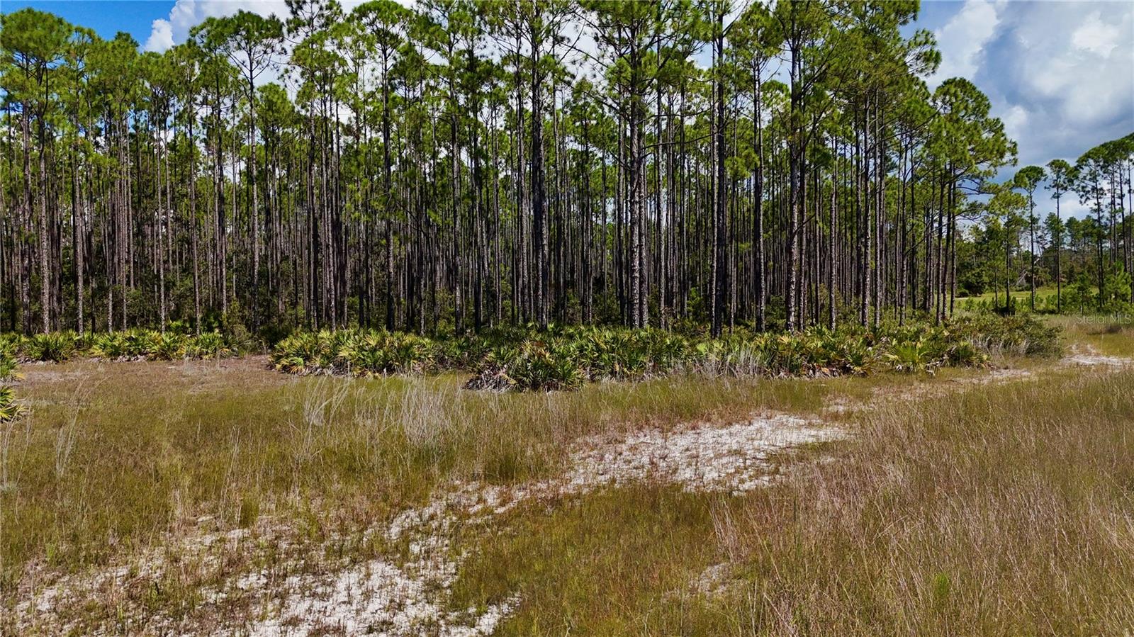 DEERWOOD/THE BEACHES SUB - Land