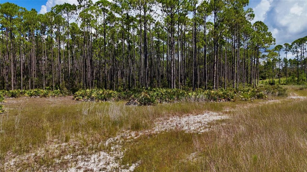 Photo of Key Deer Ct,, Perry, FL 32348 (MLS # OM724069)
