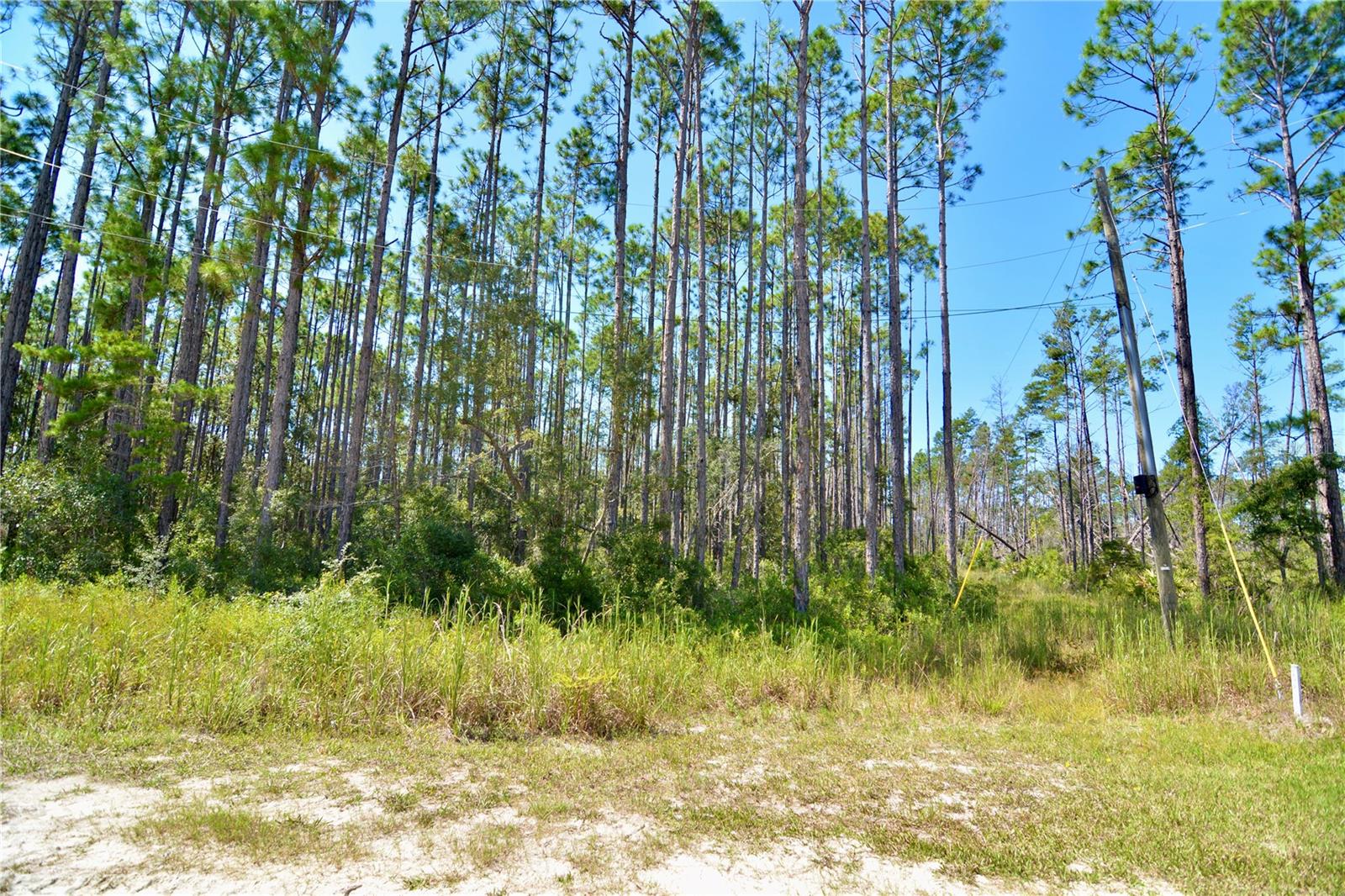 DEERWOOD/THE BEACHES SUB - Land