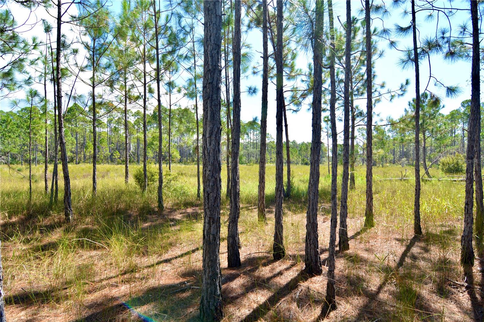 DEERWOOD/THE BEACHES SUB - Land