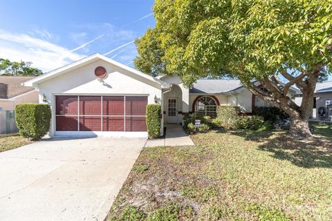 Photo of 11007 Basquin Court, Port Richey, FL 34668 (MLS # W7881291)