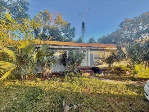 Photo of 17431 SE 35th Lane, Ocklawaha, FL 32179 (MLS # TB8444439)
