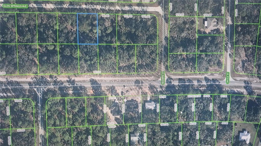 Photo of 3216 Glen Springs Avenue, Lake Placid, FL 33852 (MLS # O6398571)