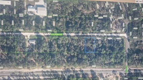3216 GLEN SPRINGS AVENUE LAKE PLACID FL 33852