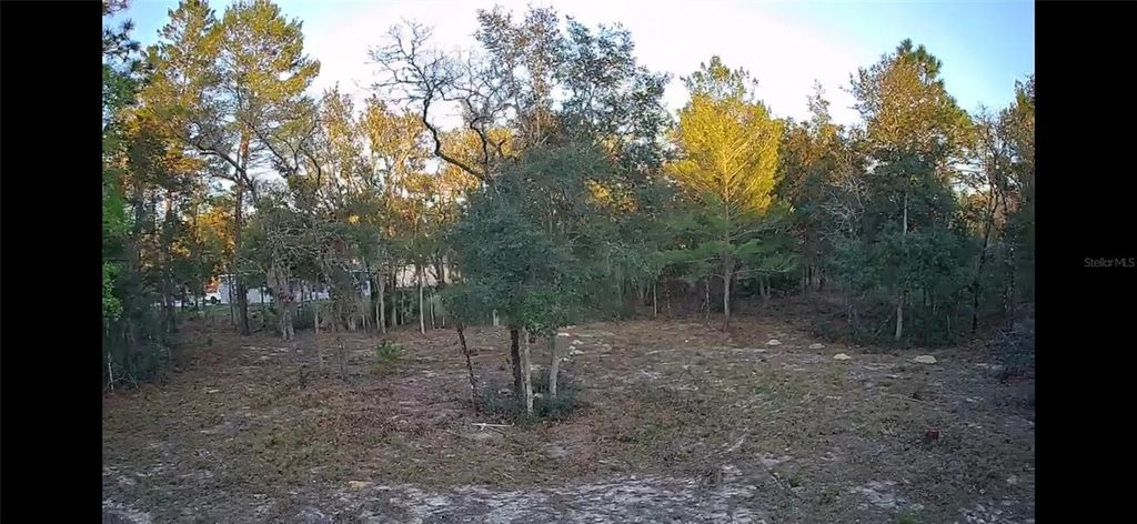 Photo of 6599 N Varsity Avenue, Citrus Springs, FL 34434 (MLS # TB8463115)