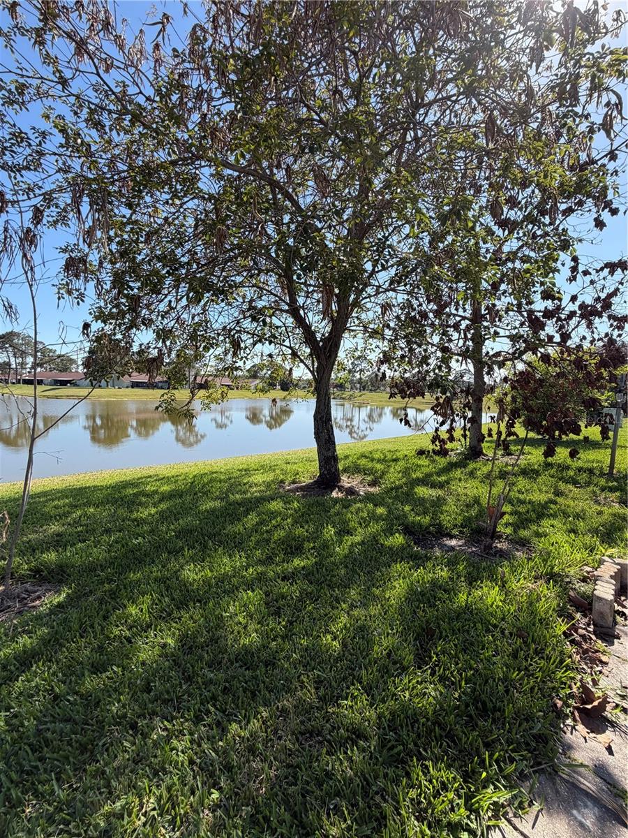 BVL LAKEPOINTE TWNHMS - Residential