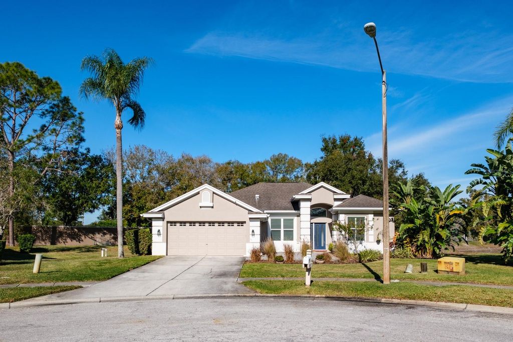 Photo of 438 Equine Drive, Tarpon Springs, FL 34688 (MLS # TB8459966)