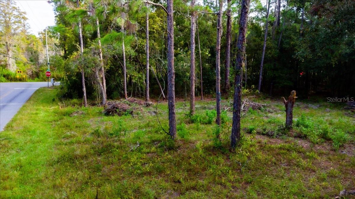 MOON LAKE ESTATES - Land