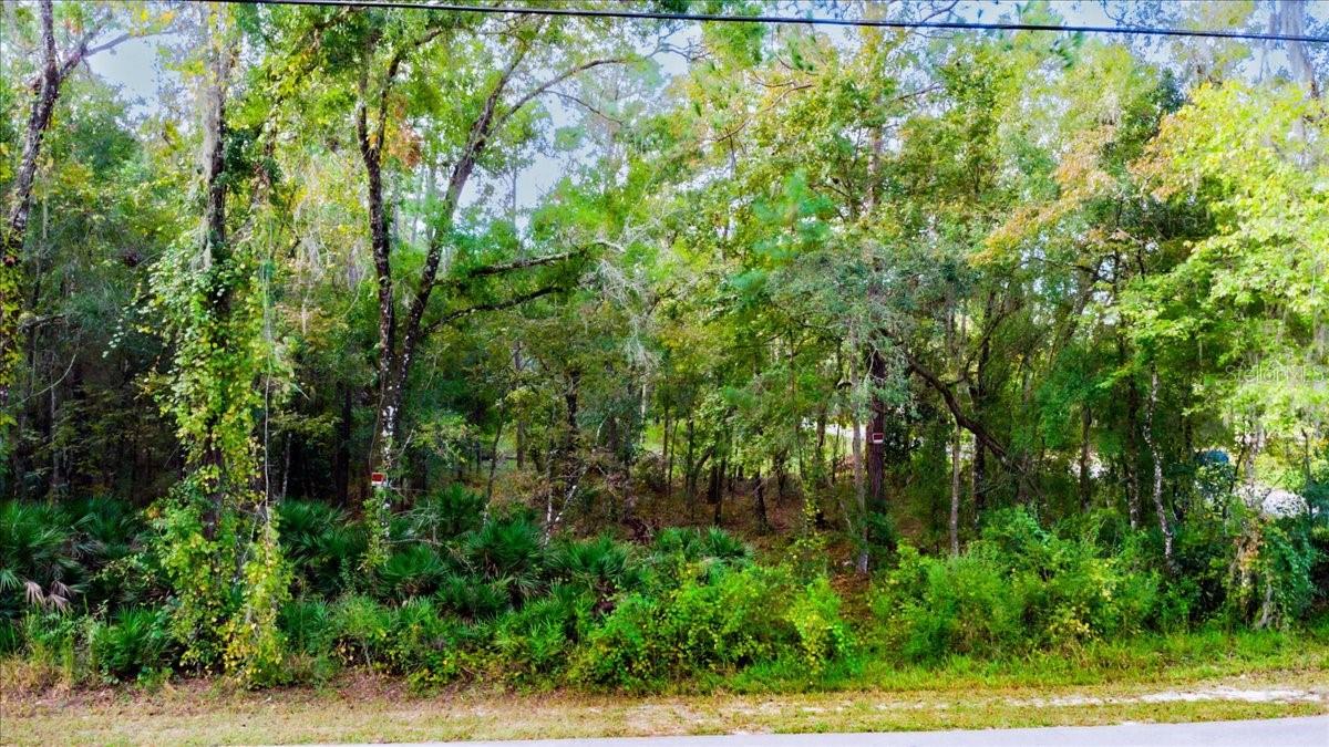 MOON LAKE ESTATES - Land