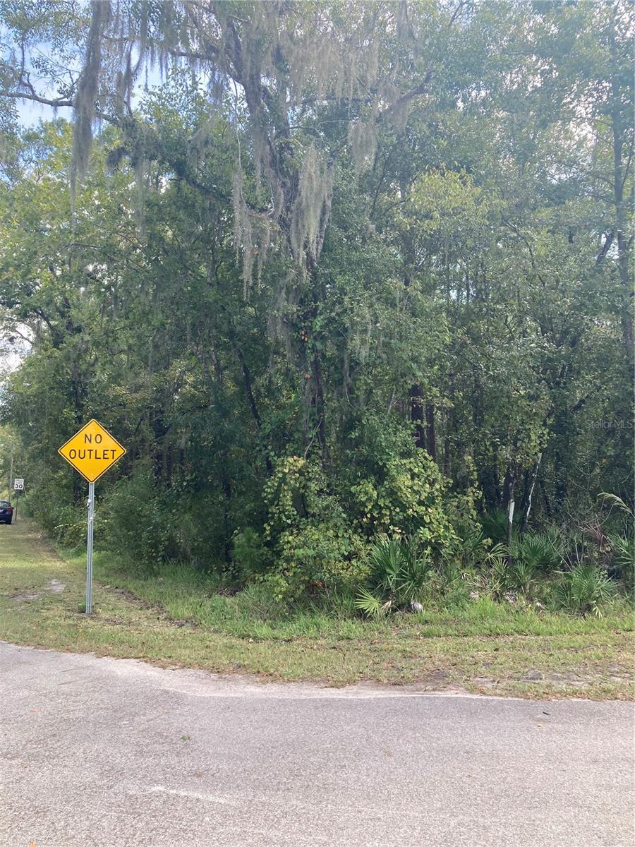 MOON LAKE ESTATES - Land