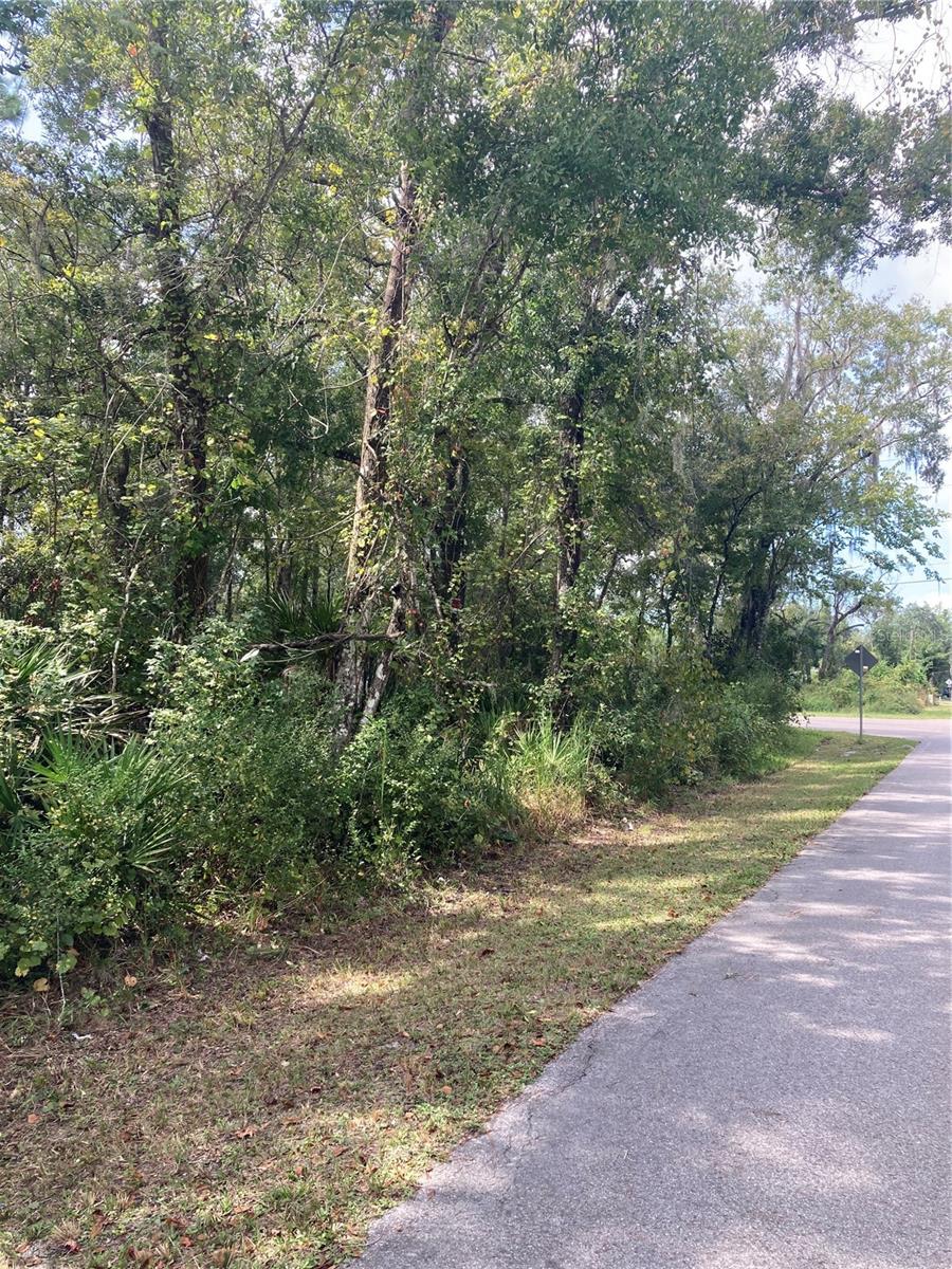 MOON LAKE ESTATES - Land