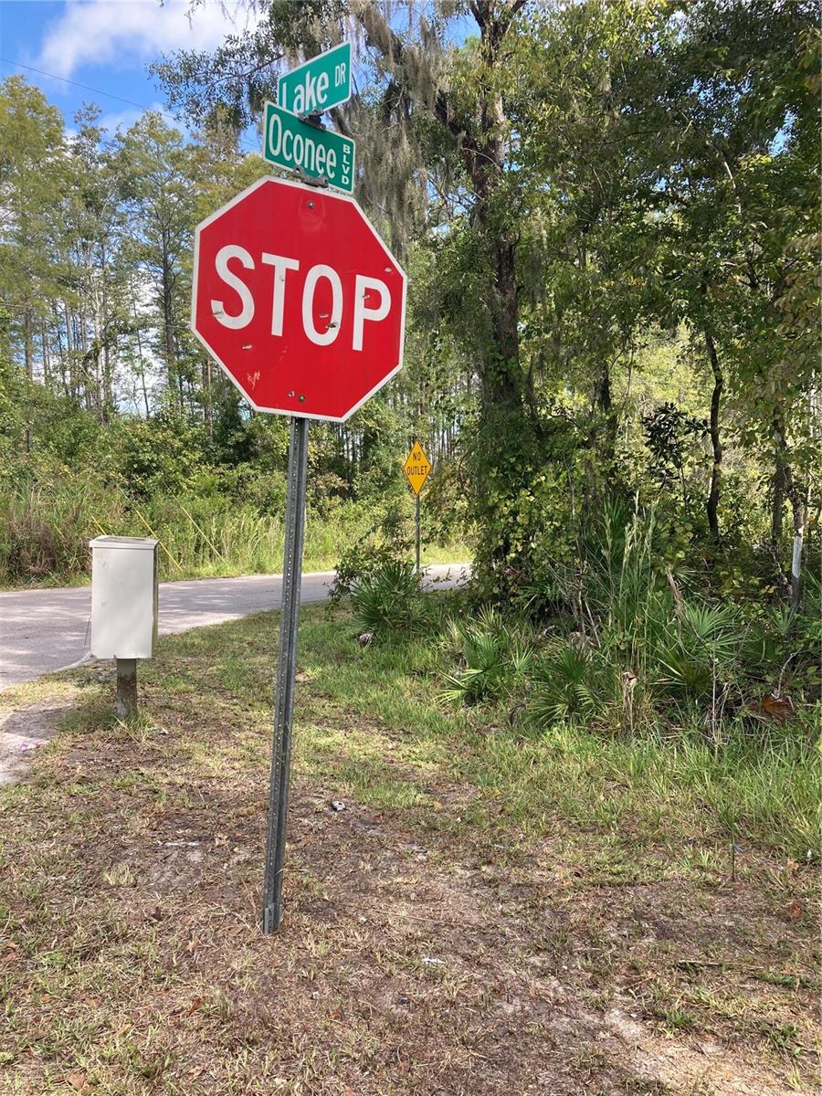 MOON LAKE ESTATES - Land