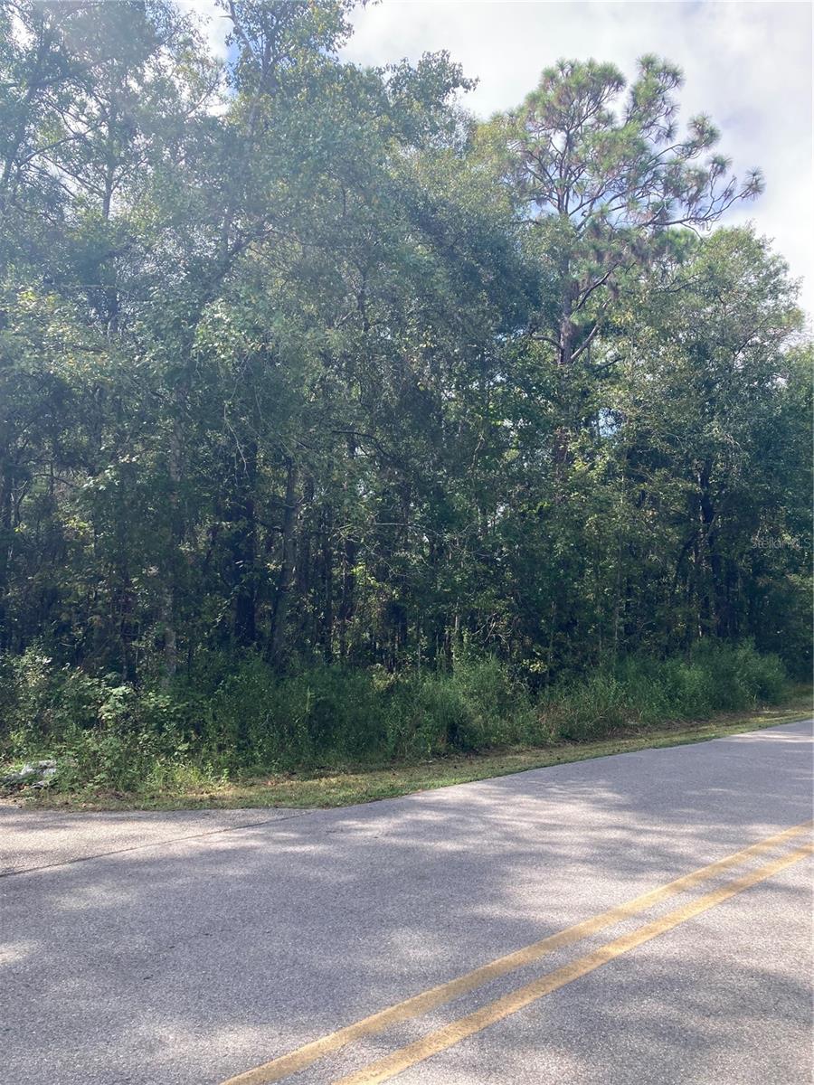 MOON LAKE ESTATES - Land