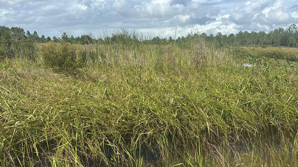 16057 NW 308TH STREET