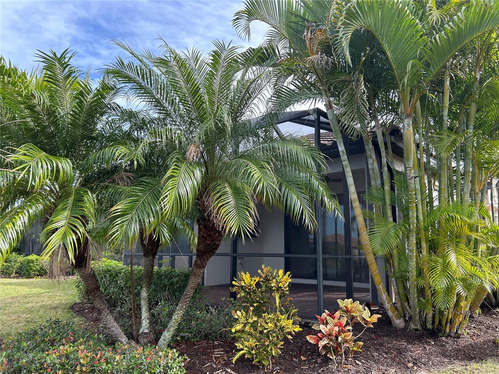 13241 TORRESINA TERRACE