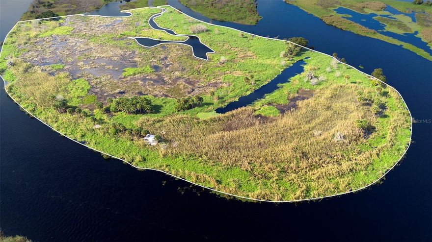 Have you ever wanted to own your own private island?  Now is your chance.  This 30 acre +/- island in the middle of the St John's river is yours for the taking.  100% wetland this island can never be developed.  Located directly across from the Mullet Lake Park public boat ramp providing easy access to the island. What fun you could have taking your boat out to your own private island?  Think of all of the fun you and your friends could have.  Call for details.  Cash only.