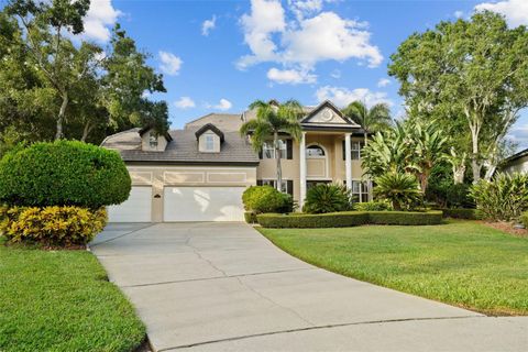 60 STANTON CIRCLE OLDSMAR FL 34677