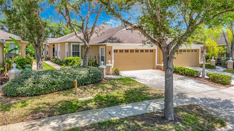 Photo of 19180 Lake Audubon Drive, Tampa, FL 33647 (MLS # TB8502726)