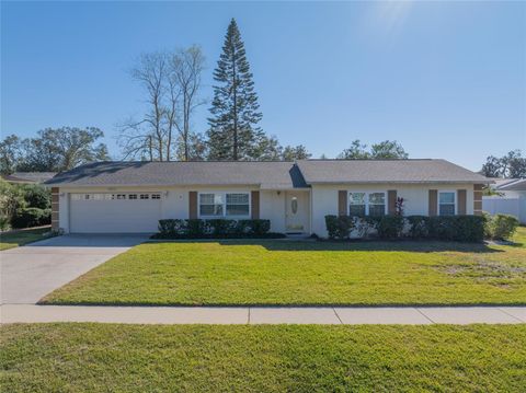 A home in SEFFNER